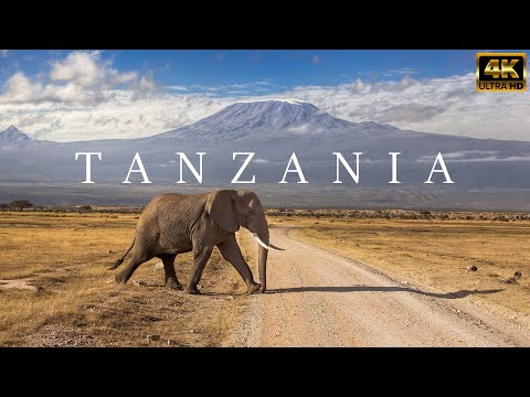 Tanzania & Serengeti 4K   Scenic Wildlife Film With African Music   4K Video Ultra