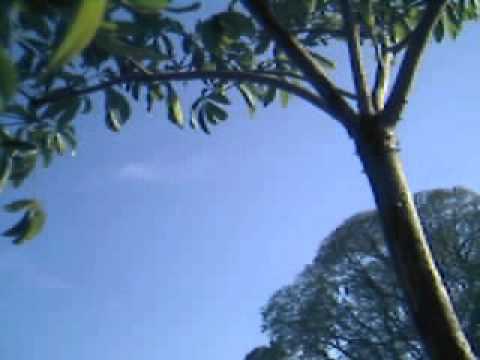 Creamfields Buenos Aires 2005 - Salida - Lo mejor de la vida