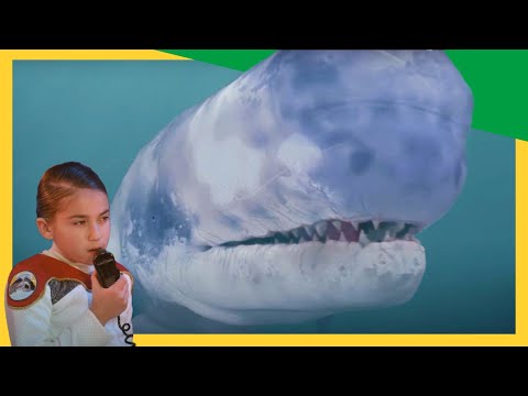 🦈 Livyatan Vs. Megalodon 🐋 ! The Ultimate Battle of Two Ancient Sea Giants! ⚔️🦖 | @DinoKids