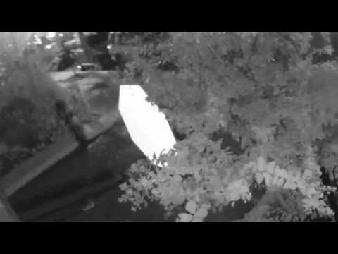 Persons of Interest in Robbery (F&V), 2100 b/o 12th Pl, NW, on July 30, 2017