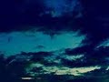 Luv Sic Terin Ector All The Freedom You Need Sampling