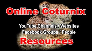 Online Coturnix Resources - Channels, Websites, Social Media, People