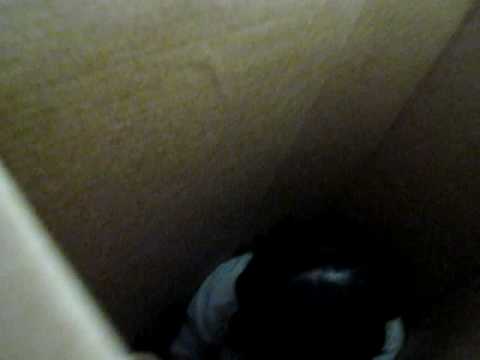 KOREANS GONE WILD:  "THINK OUTSIDE THE BOX"