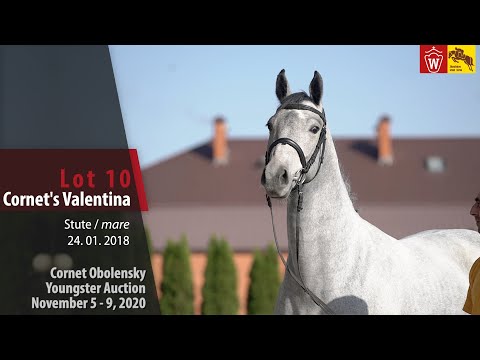 Cornet Obolensky Youngster Auction - Lot 10  Cornet`s Valentina- mare by Cornet Obolensky - Caspar