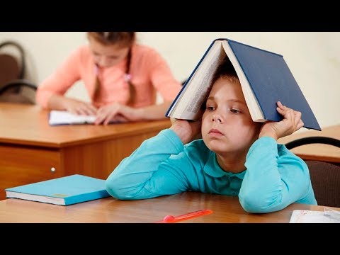 Готовый пакет документов, что бы отказаться от школы без проблем!