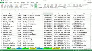 Excel Tutorial - Using text filters