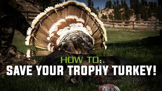 Removing a Turkey Fan & Beard