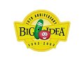 Big Idea Why We Do What We Do 2003 10th Anniversary Variant HQ Recreation