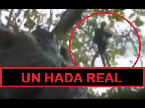 Video de un Hada Real | Videos de Terror Reales