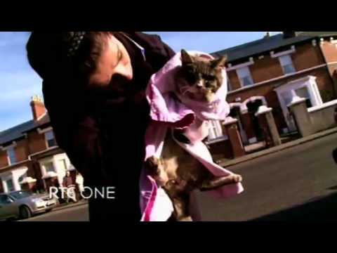 Dublin Spca