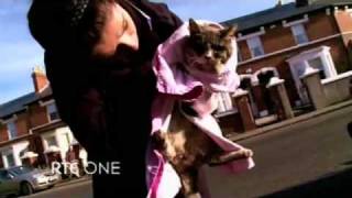 Dublin SPCA - Animal Clinic 2010 Promo - RTE1