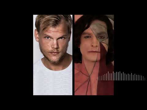 Avicii vs Gotye - Levels That I Used To Know (Huma Mashup)