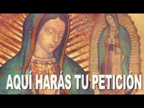 HERMOSA ORACIÓN A LA VIRGEN DE GUADALUPE ¡COMPÁRTELA!