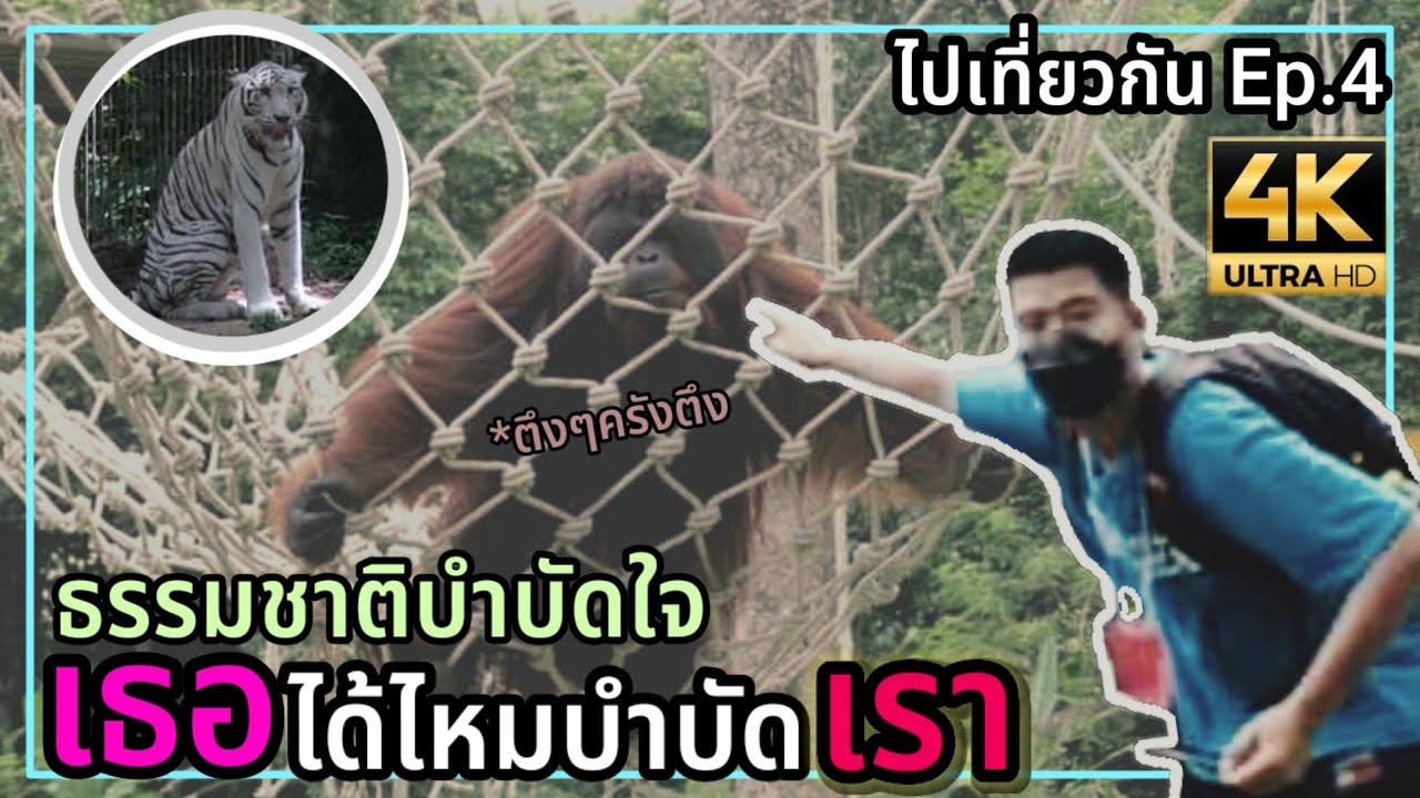 ถ่ายและตัดต่อวีดีโอ - รับตัดต่อคลิปสั้น/คลิปยาว youtube,tiktok และอื่นๆ - 2