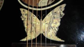 Video thumbnail for Epiphone - Gibson Orville E0-2 by Norman Weichel