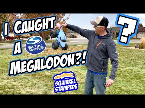 Monster Jam Megalodon Storm RC and More Spin Master Trucks!