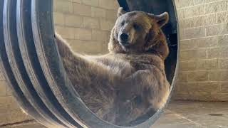 [問卦] 各位肥宅會冬季搔癢嗎?