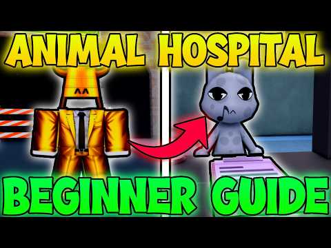 Animal Hospital Beginner Guide — How to Play