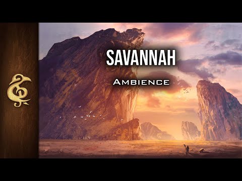 Savannah | Nature Ambience | 1 Hour