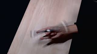 PenspinningWorldCup 2022 Round4〔Final〕KoVi 〔Eastern Reunion〕theme:Complexity