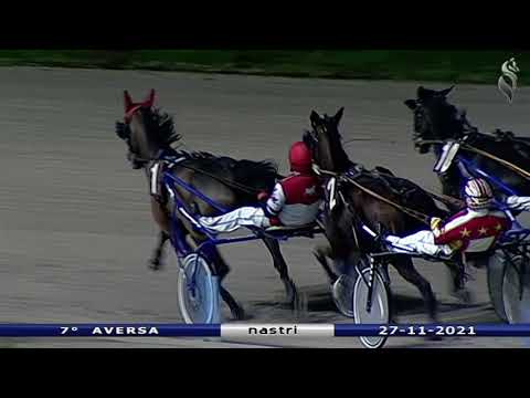 Aversa trotto 27 Novembre 2021 - 7° Corsa