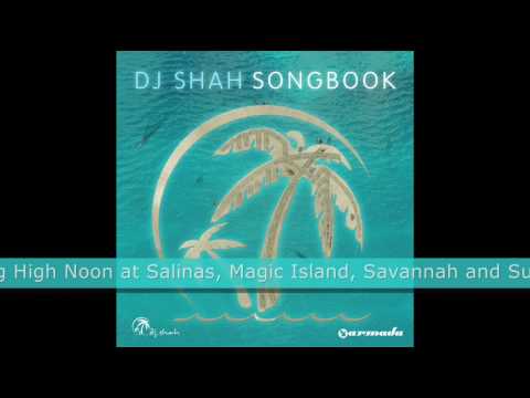 DJ Shah feat. Aruna - Now Or Never (Acoustic Version)