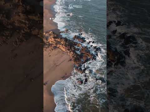 CONHEÇA O URUGUAI | MILESSIS OPERADORA