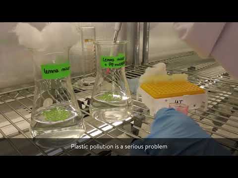 Research 377: Project Highlights