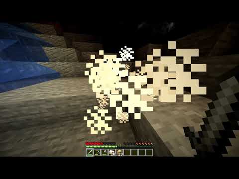 Minecraft PVP WARS Rules