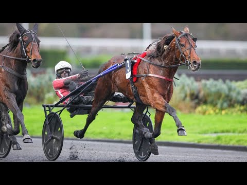 2024 Criterium Continental-Amerique Races Q3 2100M Vincennes : Keep Going (1.09.7kr)