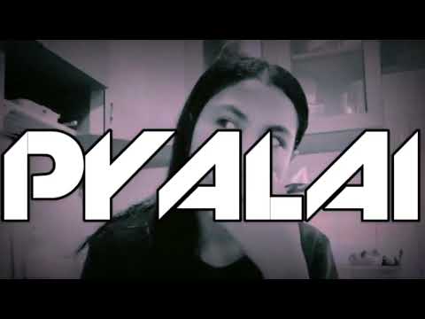 PYALAI | Lagu Acara 2023 | PapaChetall RMX |