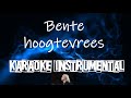 Bente - Hoogtevrees   , Instrumental met tekst
