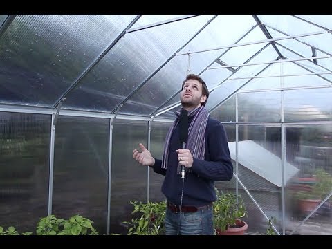 E.P.H. Schmidt Gewächshaus Merkur 9900 - 9,9qm | ESG 3mm | grün E.P.H. Schmidt Gewächshaus Merkur 9900 - 9,9qm | ESG 3mm | grün