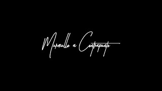 Murmullo a Contrapunto TEASER