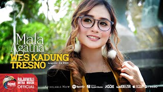 Download lagu Mala Agatha - Wes Kadung Tresno mp3 Download lagu Mala Agatha - Wes Kadung Tresno mp3