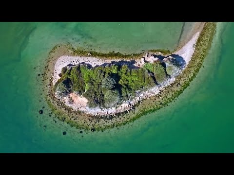 IN PERFECT HARMONY | Η ΚΑΘΗΜΕΡΙΝΗ