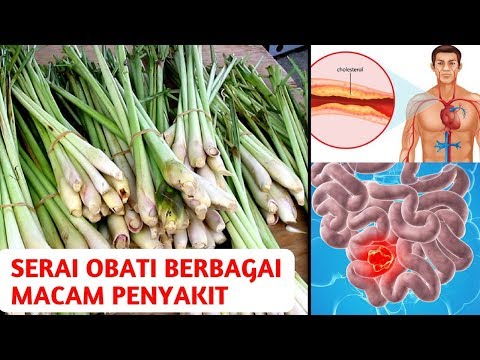 Penurunan potensi obat Patogen perempuan adalah penurunan harga yang paling efektif