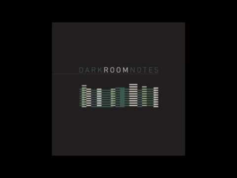 Dark Room Notes / We Got Love (2012)