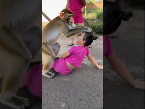 BEBÊ FOFO CAIU E MACACO DEIXOU CARECA 😱😂❤️ CUTE BABY FELL AND MONKEY LEFT HIM BALD 😱😂❤️