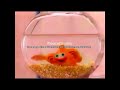 The Ears Song