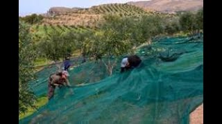 Διαβουλεύσεις : Για Διατροφή με Ποιότητα-Ελληνικότητα- Αειφορία και Κοινωνικό Χα