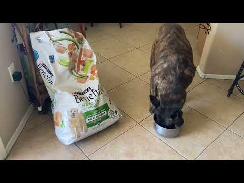 Purina Beneful Healthy Weight Dry Dog Food, Essential Vitamins and Healthful Ingredients