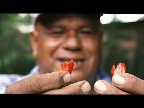 PUERCAS EN EL NEGOCIO CALERO FT LIL DEE  TUOX Video Oficial