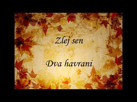 Zlej sen - Dva havrani - COVER