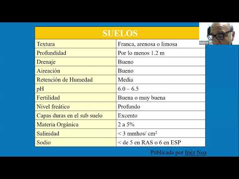 "Fertilización Post Cosecha del Palto para Altos Rendimientos en Valles Interandinos"