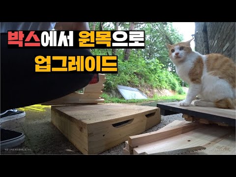 아이콘