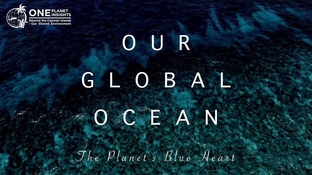 One Planet Insights presents Our Global Ocean: The Planet's Blue Heart Film