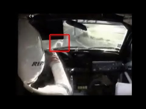 Carlos Sainz y Luis Moya atropellan una oveja