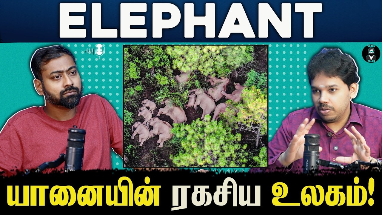 The Secret World of Elephants – The Silent King of the Forest! | Varun Talks