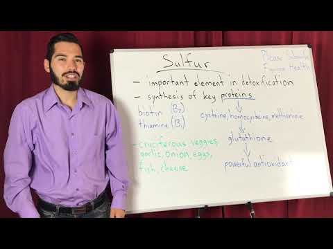 Sulfur And The Detoxification Process